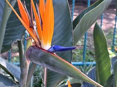 -国家植物园南园