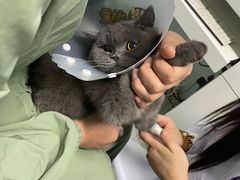 -达爱动物医院·犬猫分区·CT·复杂眼科(远洋山水分院)