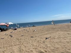 -黄金海岸