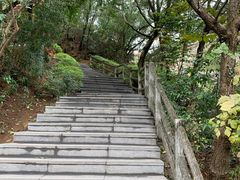 -金鸡山公园