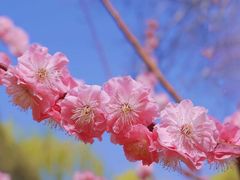 -陶然亭公园