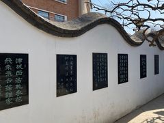 -桃花堤公园