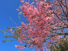 -风云岭森林公园