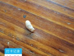 -古镇榨粉店(和平三街店)