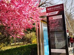 -陶然亭公园南门停车场