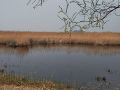-野鸭湖国家湿地公园