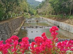 -广州白江湖森林公园