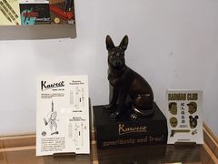 -Badmarket(庙前西街店)