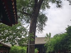 -内蒙古将军衙署博物院
