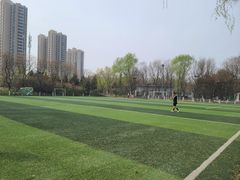 -太阳宫足球俱乐部