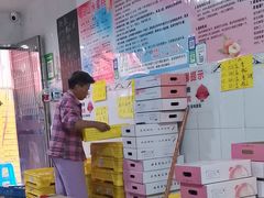 -老袁家蜜桃农场·阳山水蜜桃