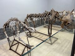 -游龙石文化科普馆
