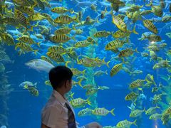 -南昌融创海世界