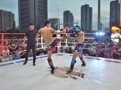 -大焱搏击·泰拳·拳击俱乐部(大柏树店)
