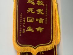 -嘉馨宠物医院·CT影像转诊·心脏科·犬猫全科诊疗中心(下沙大学城院区)