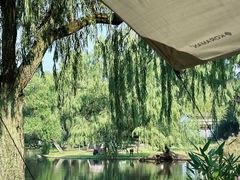 -上海共青森林公园