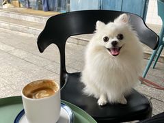 -Be Lived Cafe比例咖啡(摩天轮店)