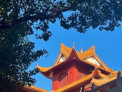 -深圳仙湖植物园