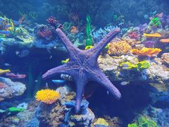 -海合安青岛极地海洋公园
