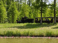 -黄海国家森林公园