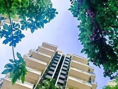 -乐山乌木文化博览苑