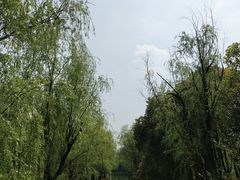 -同里国家湿地公园