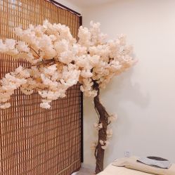 -至臻康妍健康管理中心
