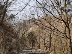 -北京鹫峰国家森林公园
