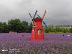 -黄河三峡风景名胜区