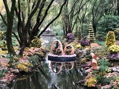 -上海共青森林公园