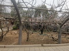 -红螺寺