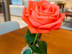 -ELI FALAFEL Lebanese&Mediterranean黎巴嫩美食(富城路店)