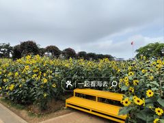 -万绿园