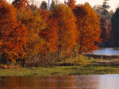 -上海海湾国家森林公园