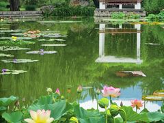 -国家植物园南园