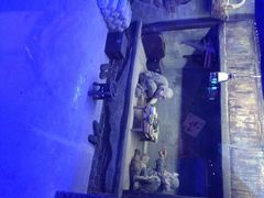iphone_upload_pic-刘老根大舞台-长春旗舰店