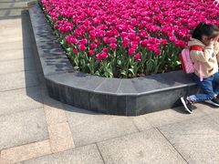 -南通洲际绿博园