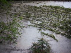 -沧浪亭