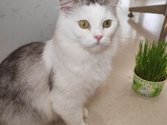 -共舞时光猫咖·狗咖(新街口店)
