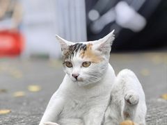 -桂林269新茂综合批发市场(环城北一路店)