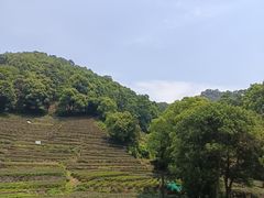 -永和大王·现磨豆浆·卤肉饭(九亭SH085店)