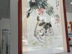 -美美宠物诊疗中心·异宠·骨科(滨江东信分院)
