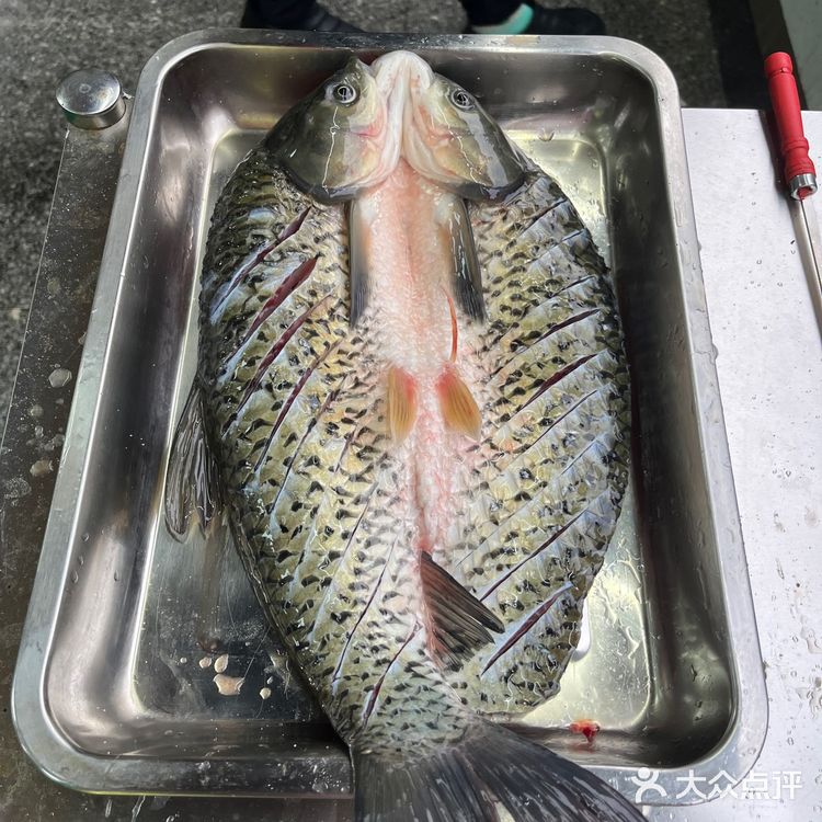 吃烤鱼，还得万州的 | 龙岗万州烤鱼城🐟
