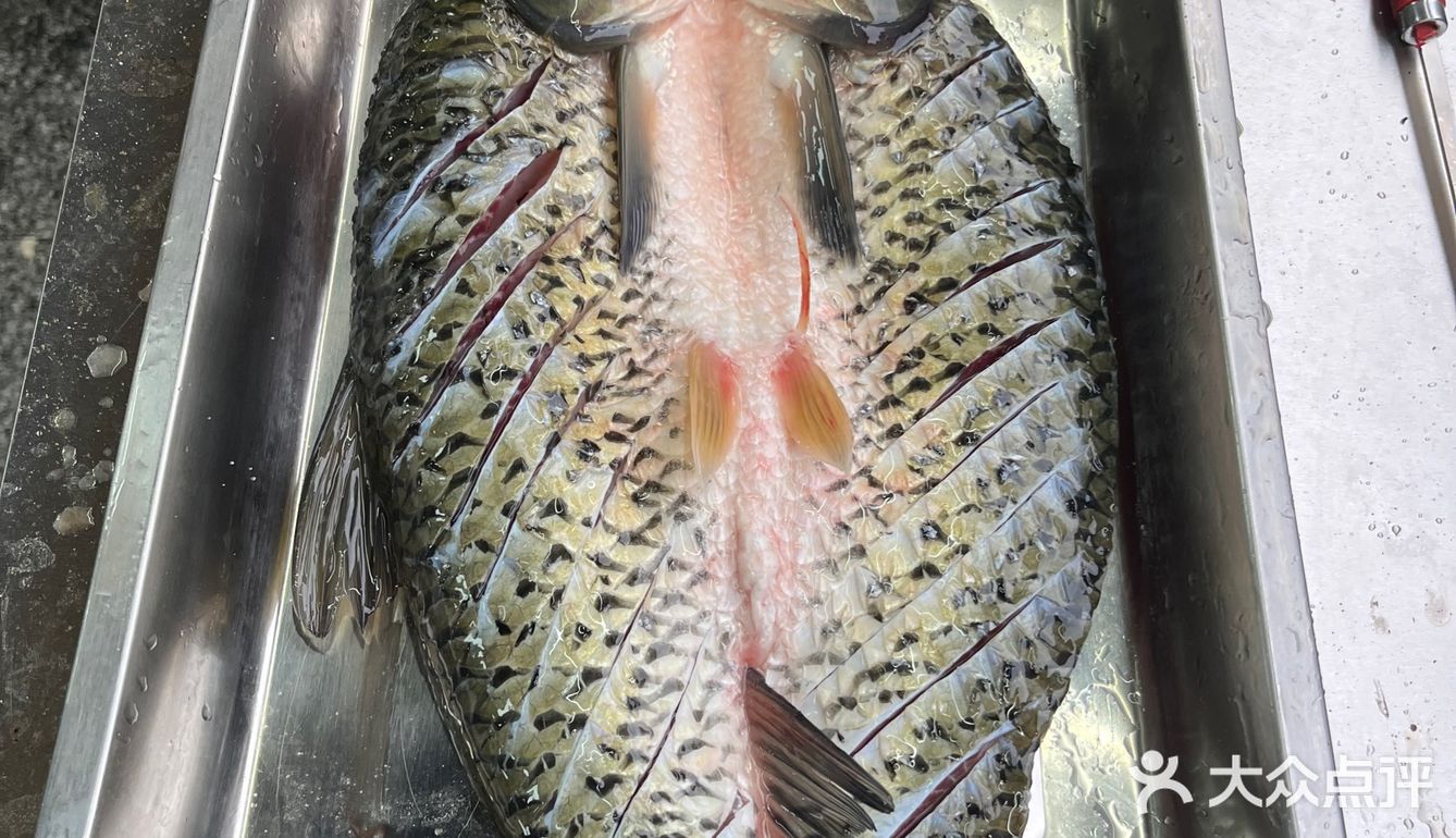 吃烤鱼，还得万州的 | 龙岗万州烤鱼城🐟