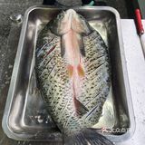 吃烤鱼，还得万州的 | 龙岗万州烤鱼城🐟