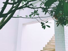 -我家农庄