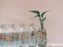 -triple coffee叁杯咖啡