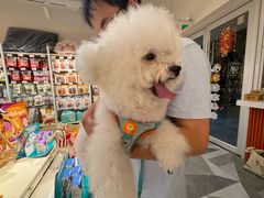 -宠小格时尚宠物生活馆(唐镇店)