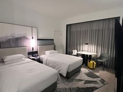 -新加坡乌节希尔顿酒店 (SG Clean)