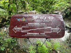 -呀诺达热带雨林